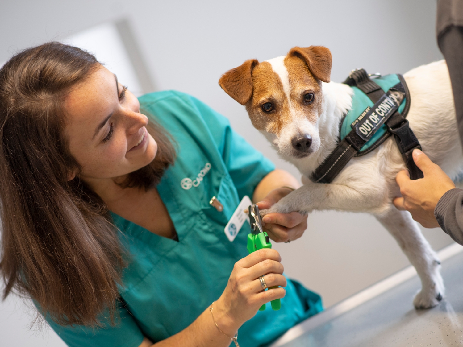 CADOMOvets-tierarzt-netzwerk-muenchen